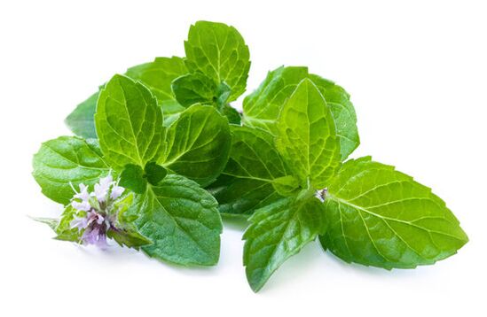 Menta hojas en el spray de Nicode