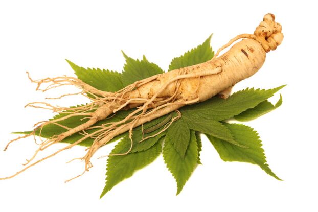 Raíz de ginseng en el aerosol zxcvbnmqwert